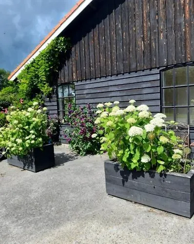 Bed & Breakfast Het Goudklompje