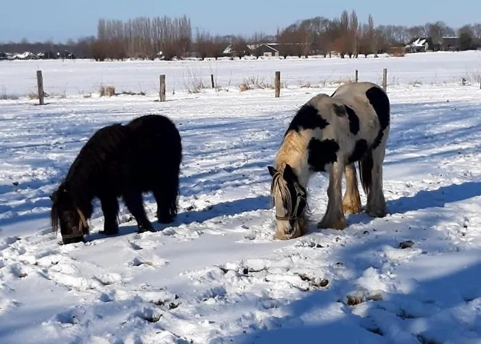 Het Goudklompje 4* Vorden