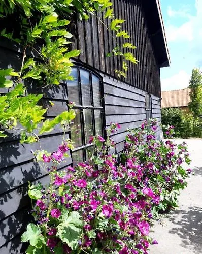 Bed & Breakfast Het Goudklompje Vorden