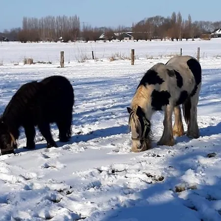 Het Goudklompje 4* Hengelo (Gelderland)