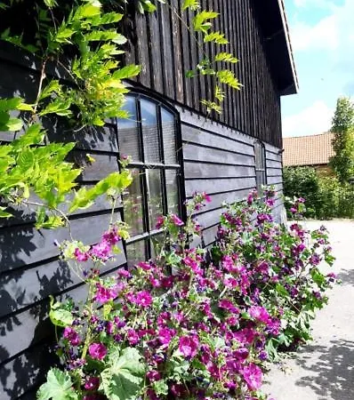 ベッド・アンド・ブレックファスト Het Goudklompje フォルデン